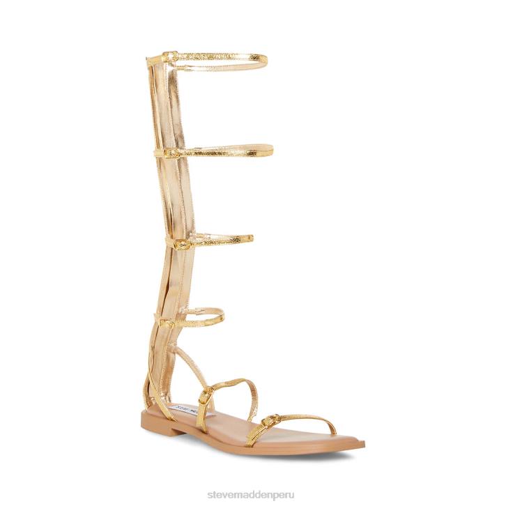 Steve Madden calzado mujer espartano 4DZJ77 oro